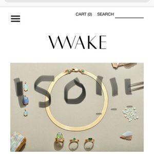 ISO wwake earrings! Pretty flexible on the style.